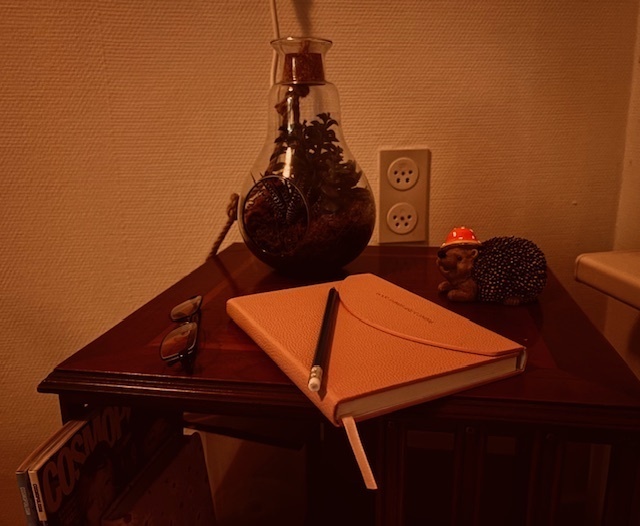 A side table with a notebook, a pencil and some glasses. A small micro-biome plant is shown in the back inside of a glass jar. There is a statue of a hedgehog.