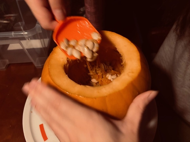 A pumpkin being scooped out by a cheap red plastic scoop